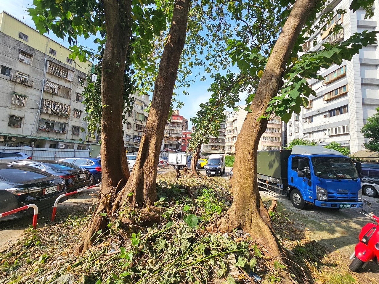 蘆洲區民族路257及327巷岔口土地活化案施工前2