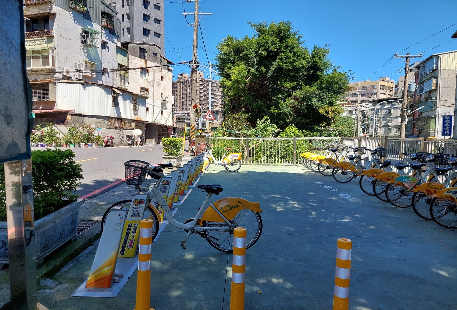 中和大仁段活化後