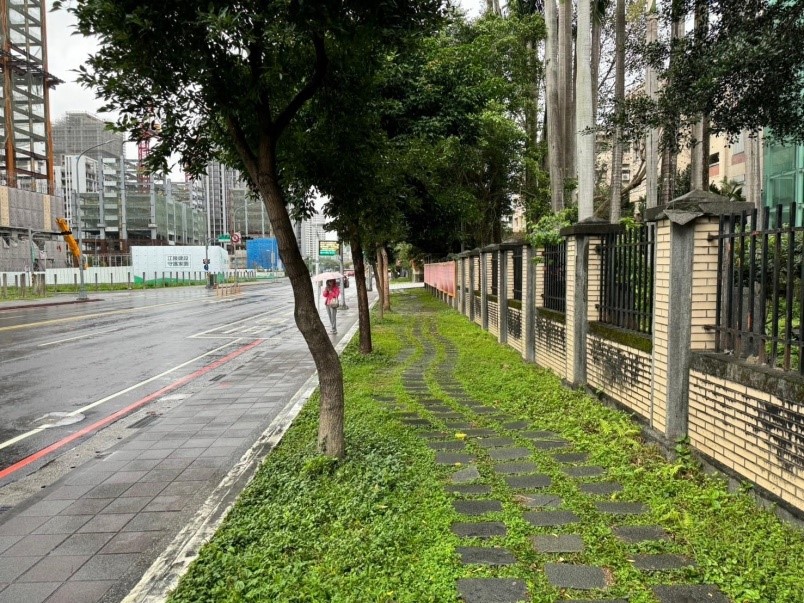 新店區中央路(新店高中右側)_改善前